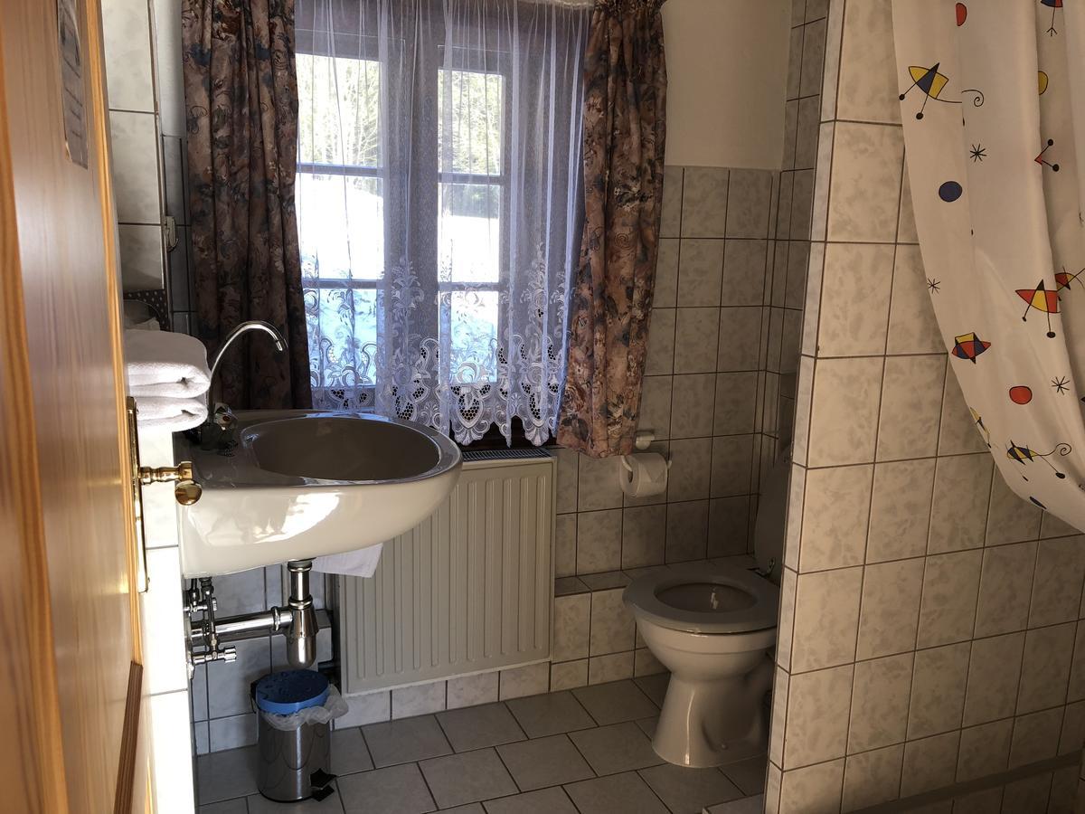 Pension Untere Rauner Muehle Bad Brambach Exterior foto